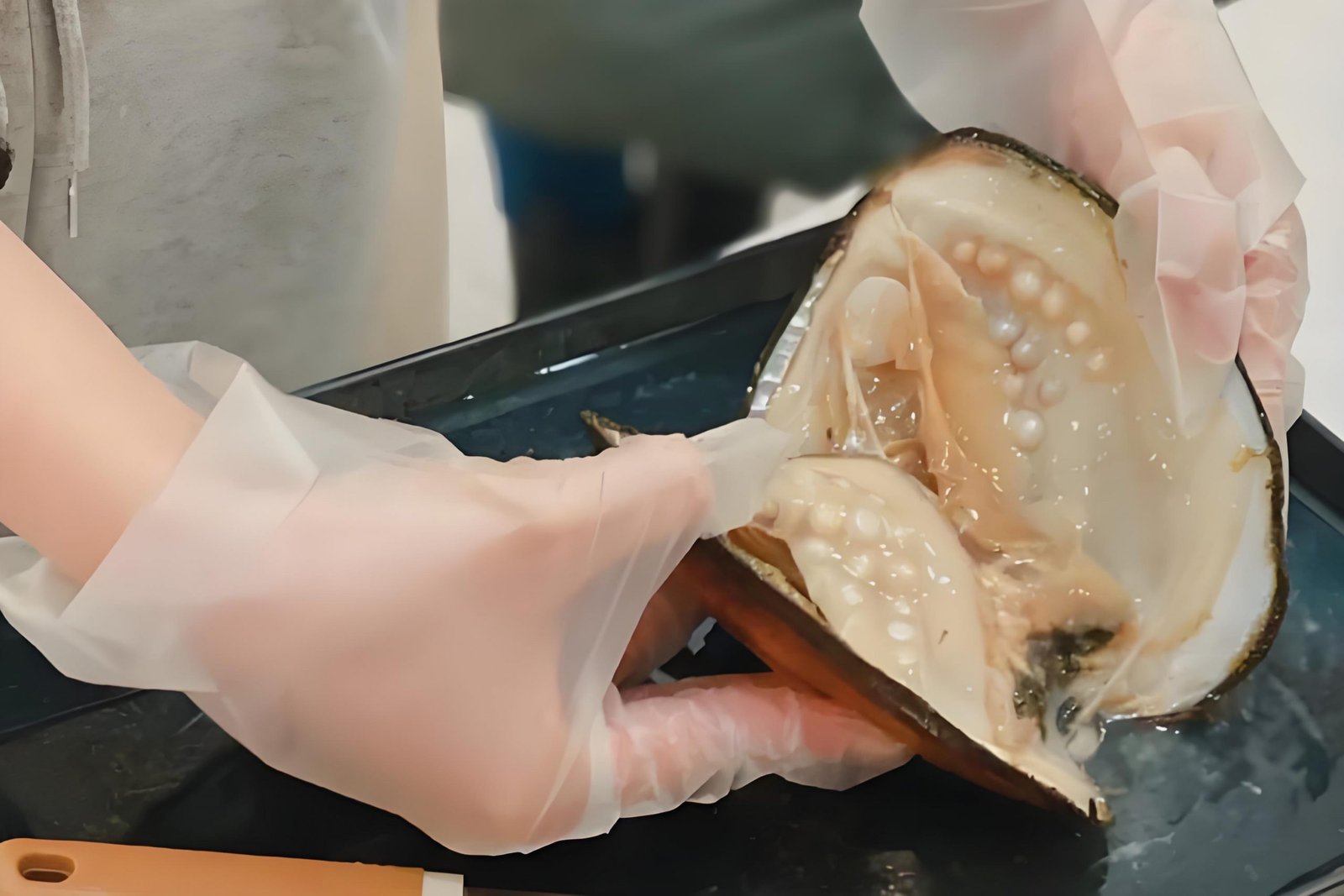 How to Source Pearls with Stable Quality and Lower Costs? Actual Cooperation Case