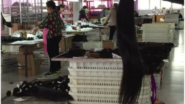 Hair Wigs and Extensions Sourcing from China: Real vs Synthetic, QC and Clusters